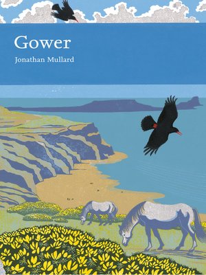 cover image of Gower